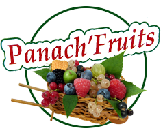 Panach'Fruits
