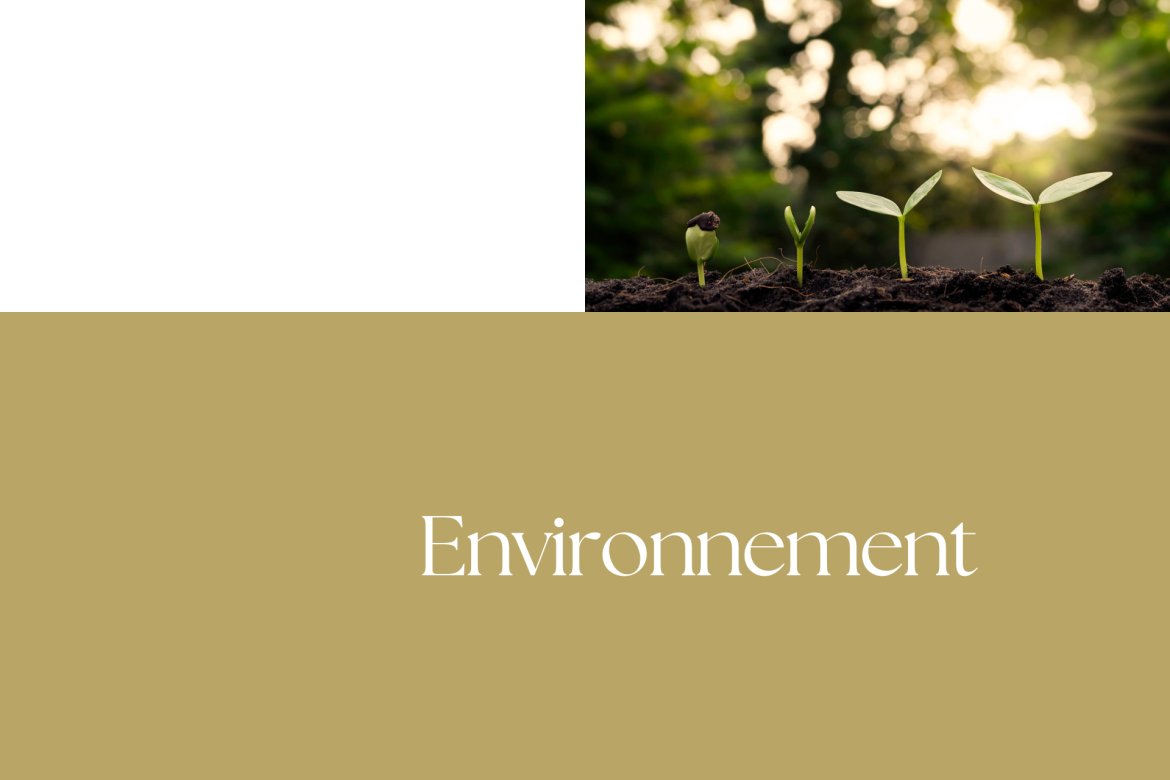 Environnement 