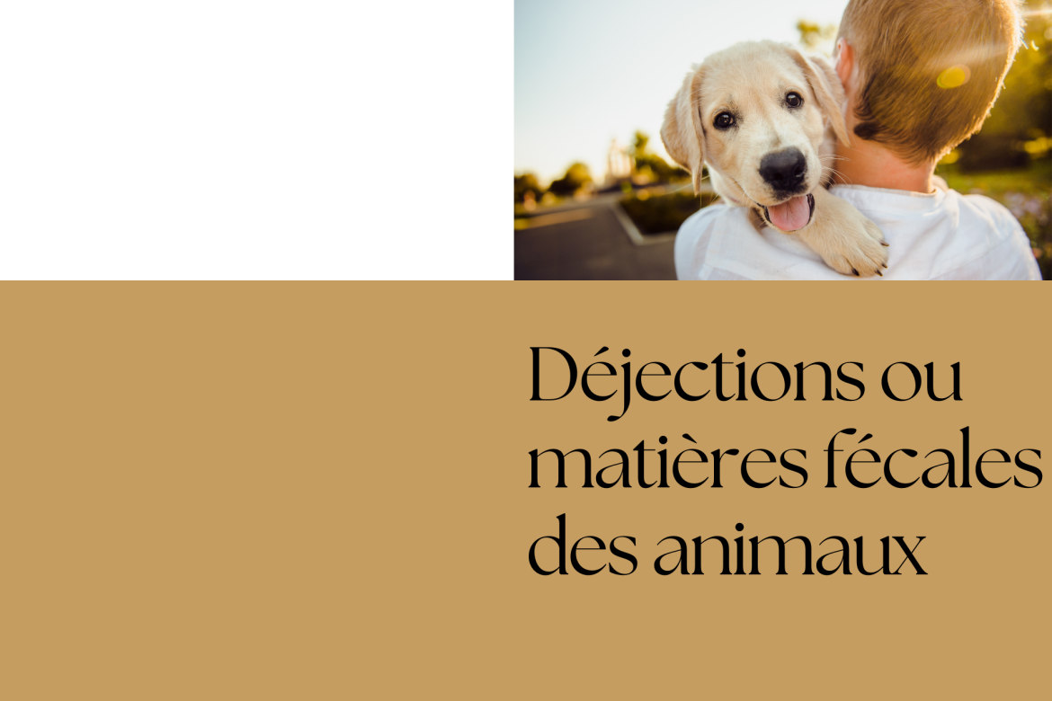 Déjections ou matières fécales des animaux