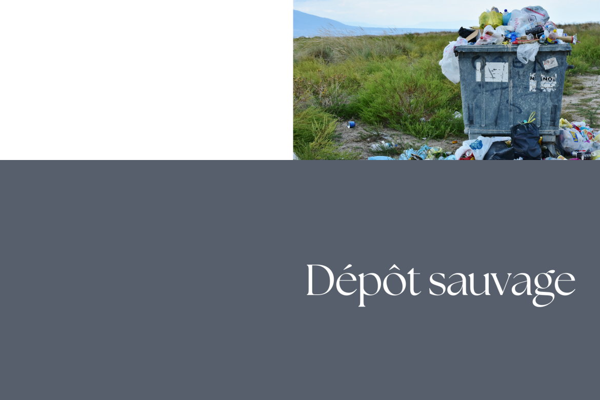 Dépôt sauvage