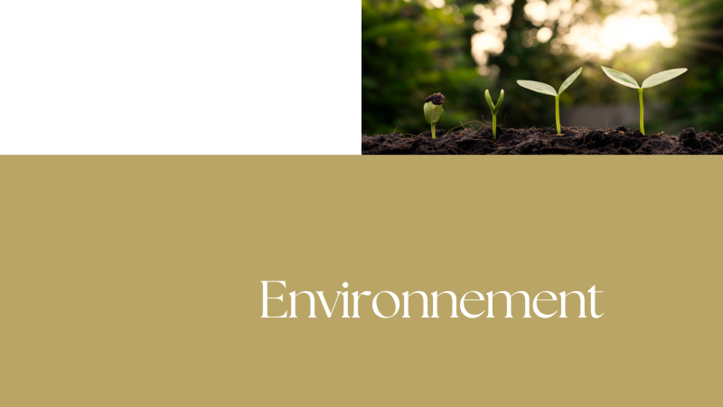 Environnement 