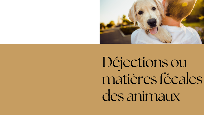 Déjections ou matières fécales des animaux