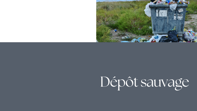 Dépôt sauvage
