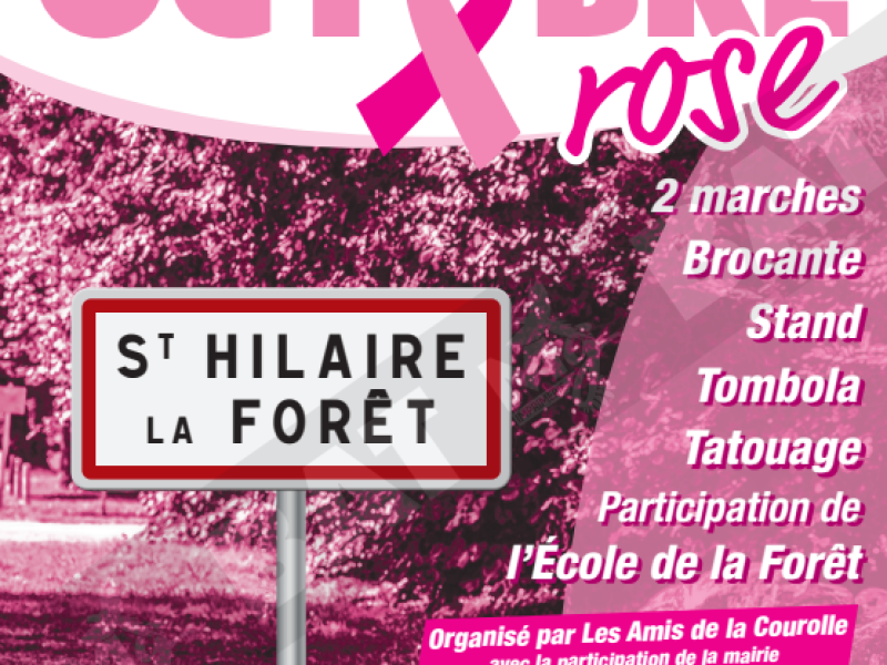 Marche Octobre Rose