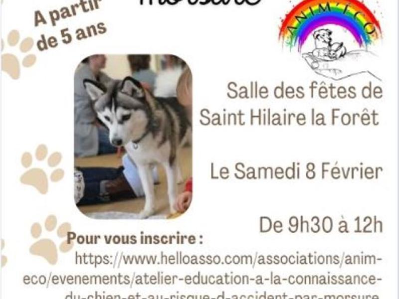 Anim'Éco - Atelier éducation canine