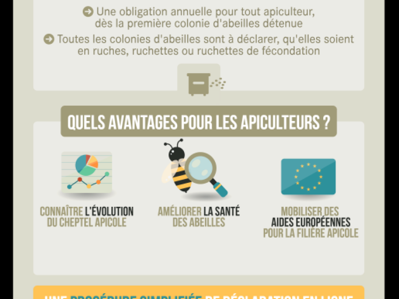 Déclaration détenteurs de ruches