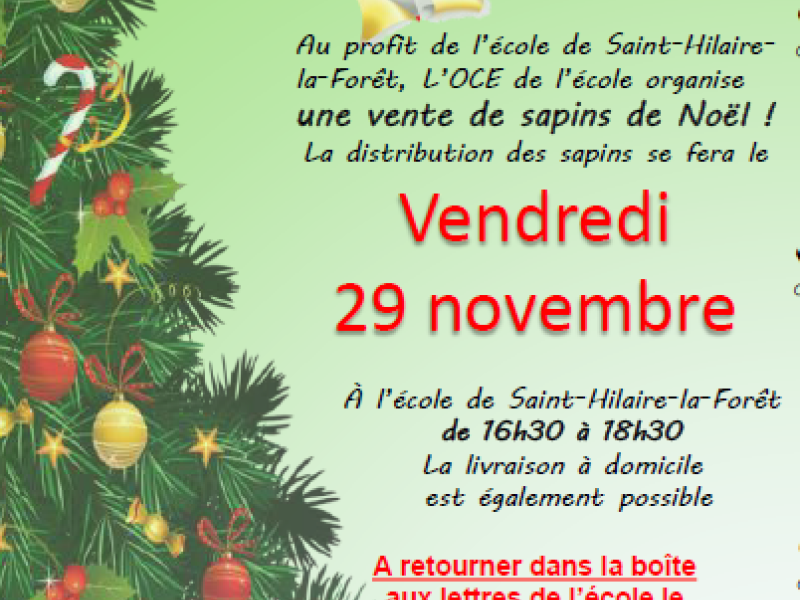 Vente de sapins 