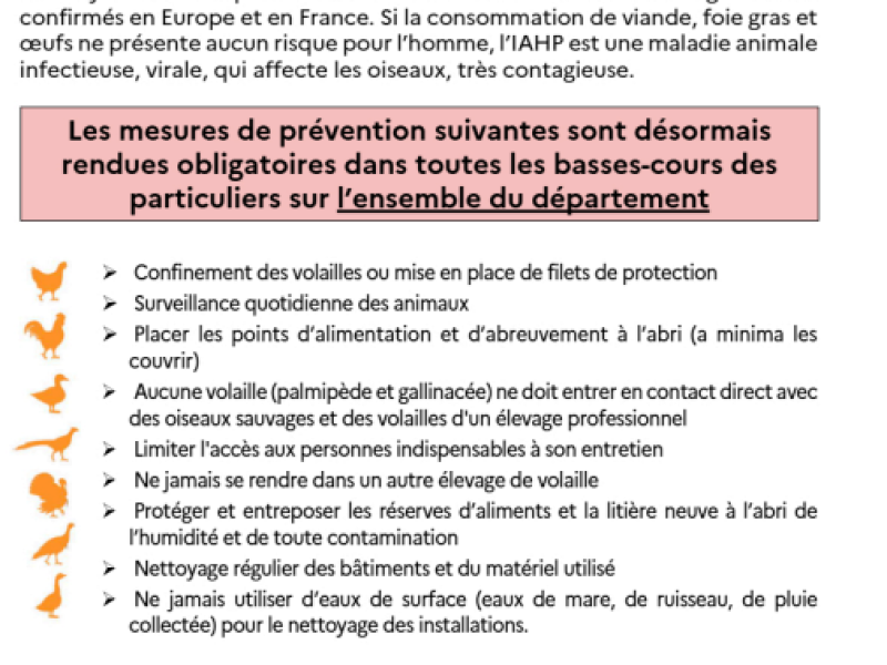 Influenza aviaire hautement pathogène (IAHP)