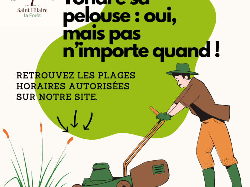 Tondre sa pelouse : oui, mais pas n’importe quand !