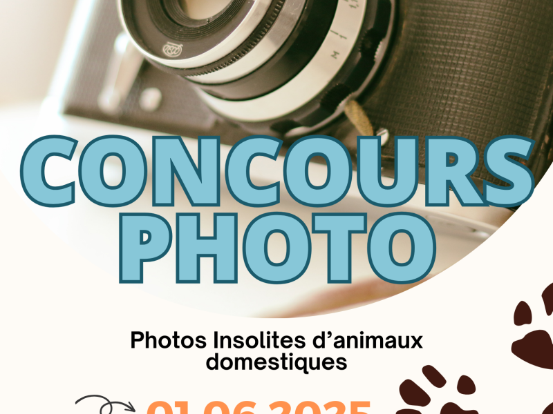 Concours Photo 📸