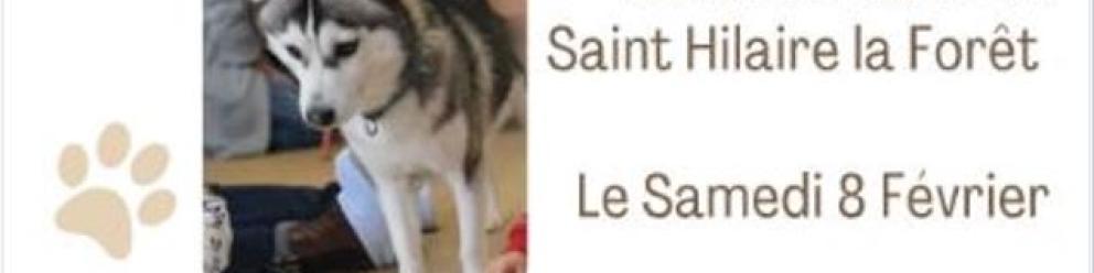 Anim'Éco - Atelier éducation canine