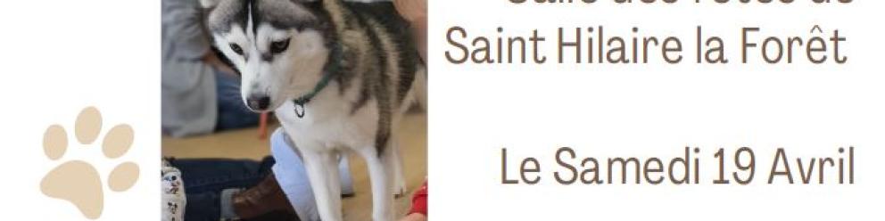 🐶 Atelier d’Éducation à la Connaissance du Chien…